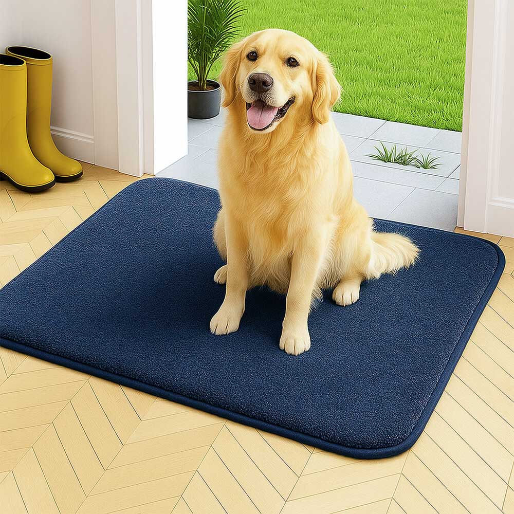 Thick Plush Absorbent Mud-Resistant Pet Door Mat for Dirty Paws