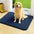 Thick Plush Absorbent Mud-Resistant Pet Door Mat for Dirty Paws