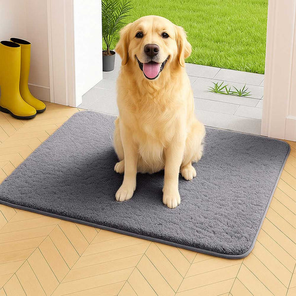 Thick Plush Absorbent Mud-Resistant Pet Door Mat for Dirty Paws