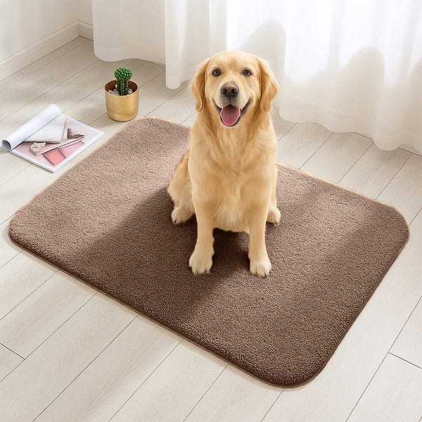 Thick Plush Absorbent Mud-Resistant Pet Door Mat for Dirty Paws