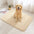 Thick Plush Absorbent Mud-Resistant Pet Door Mat for Dirty Paws