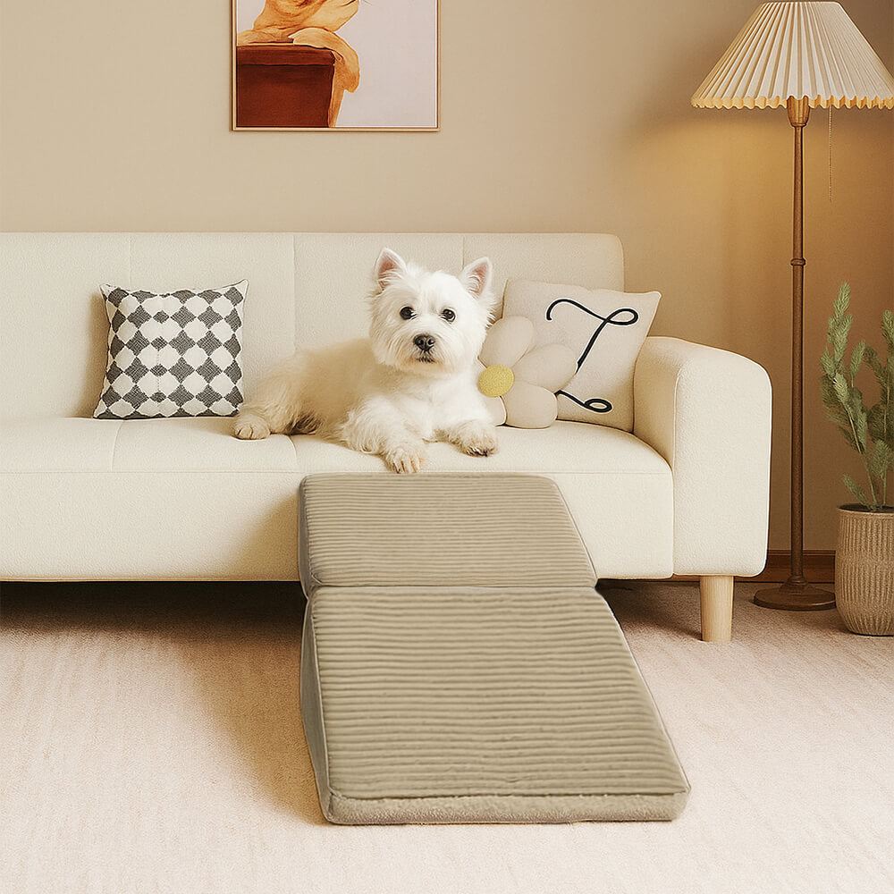 2-in-1 Convertible Wooden Home Step Stool Dog Ramp Stairs