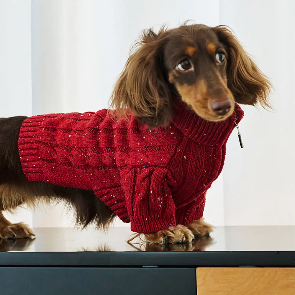 Cable Knit Zipper Collar Dachshund Dog Sweater