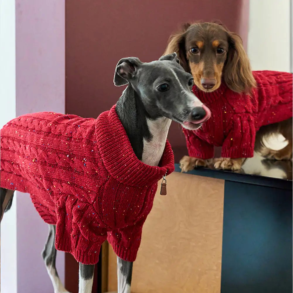 Cable Knit Zipper Collar Dachshund Dog Sweater