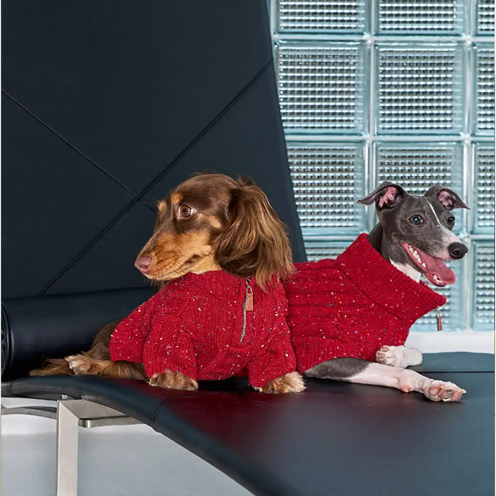 Cable Knit Zipper Collar Dachshund Dog Sweater