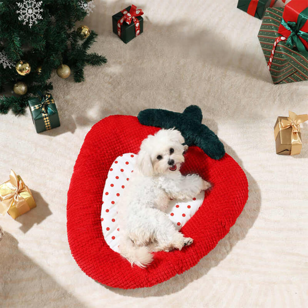 Couronne d'arc de noël, décor confortable, oreiller de soutien, lit pour chien et chat