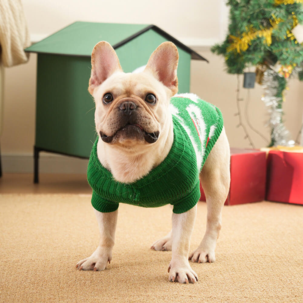 Christmas Turtleneck Dog knit Sweater Matching Pullover For Dogs And Owner