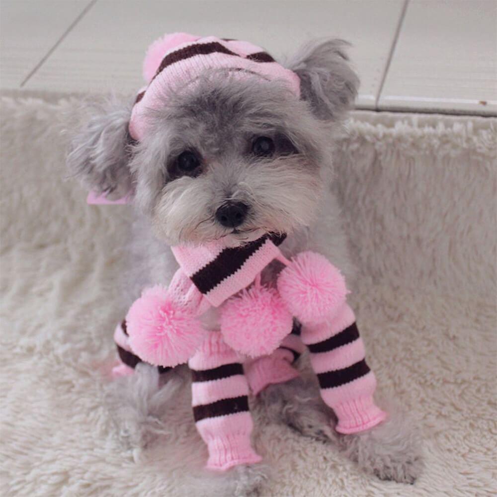 Colorful Striped Knit Pom Pom Cozy Dog Hat Scarf & Socks Set