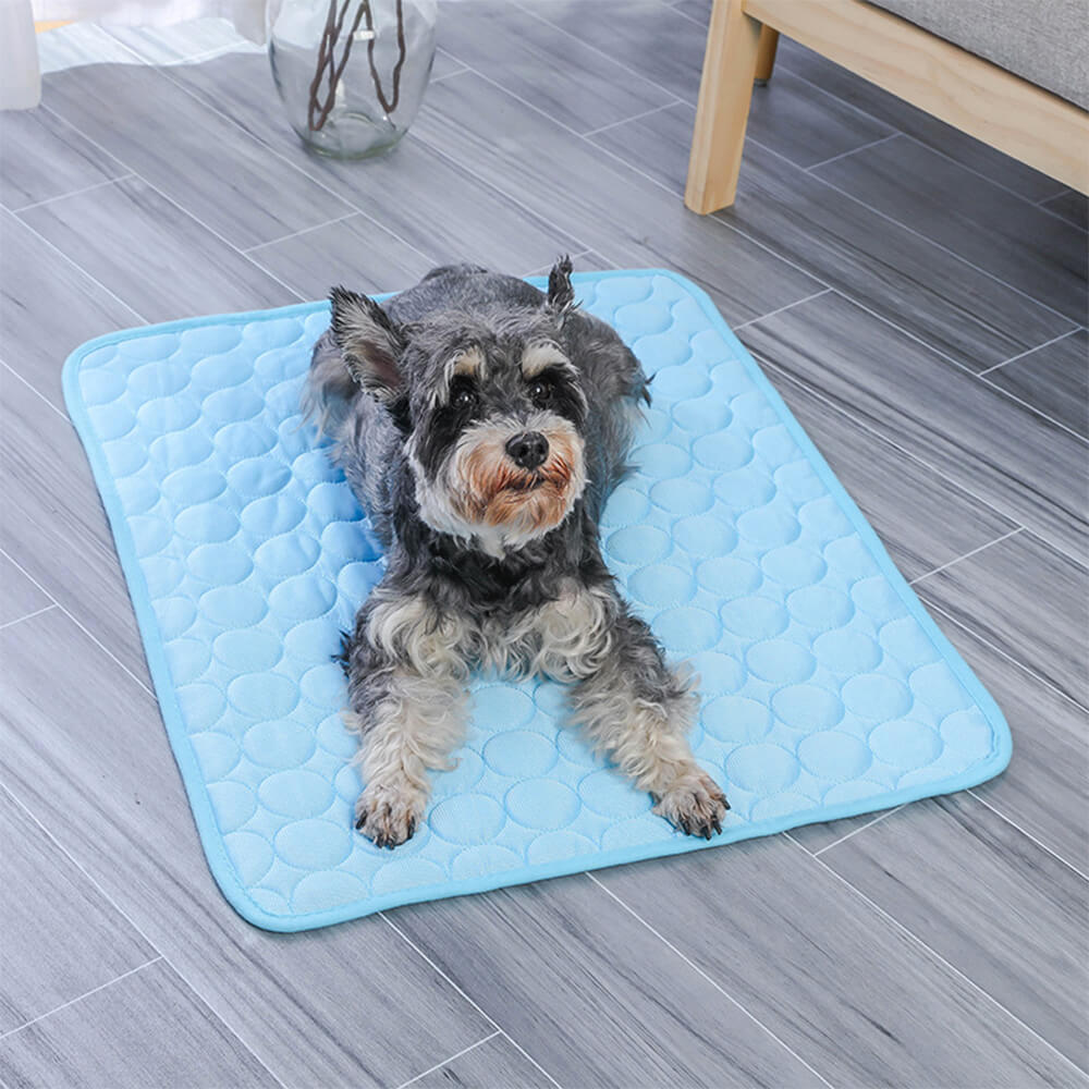 Cooling Ice Silk Soft Non-Slip Large Area Dog & Cat Mat