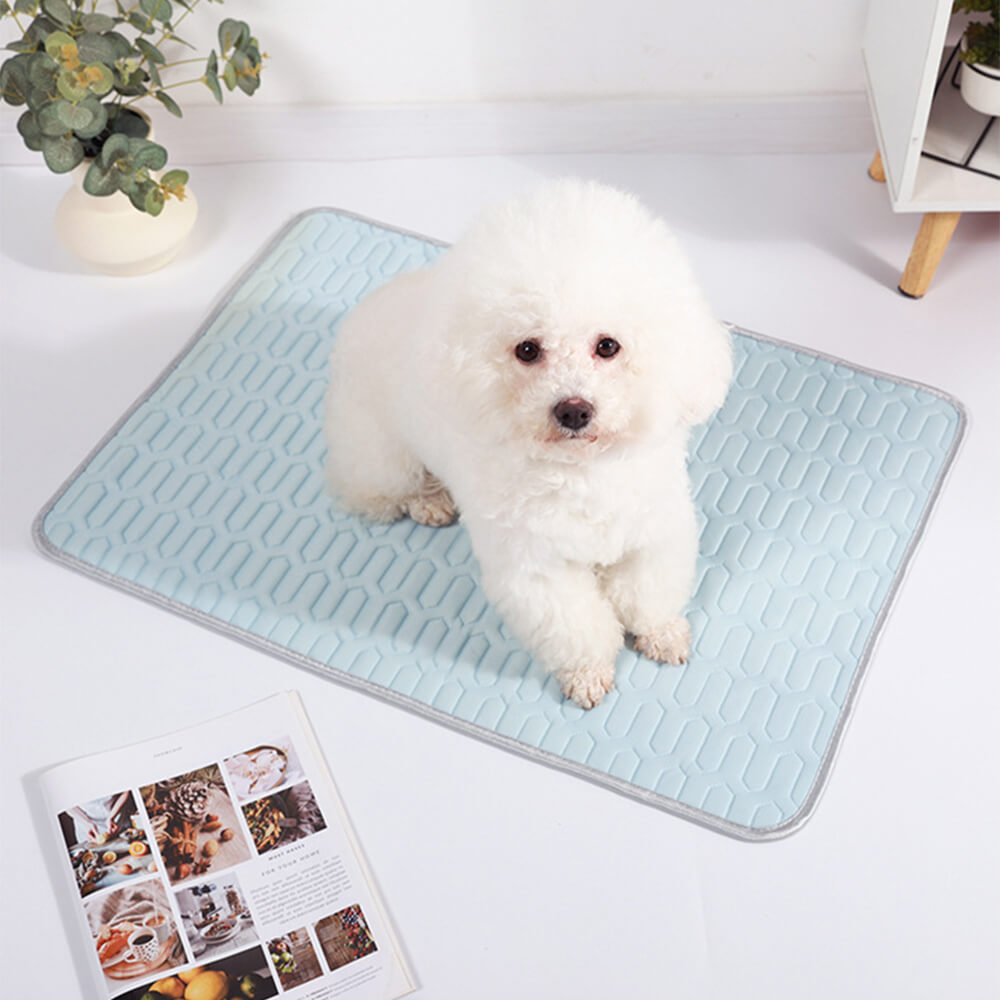 Cooling Washable Non-Slip Breathable Ice Silk Dog &amp; Cat Mat