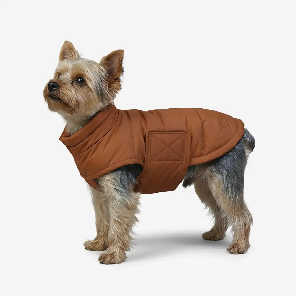 Duck Down Filled Winter Dog Vest Lightweight Warm Dog Coat with Leash Ring