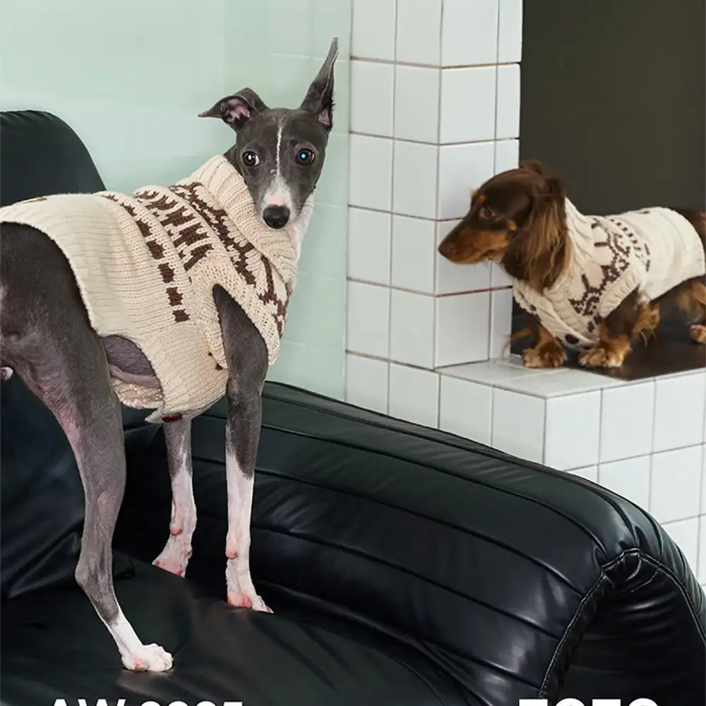 Fair Isle Pattern Dachshund Sleeveless Dog Sweater