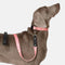 Fashion estampado de nylon liviano collar correa de correa para caminar