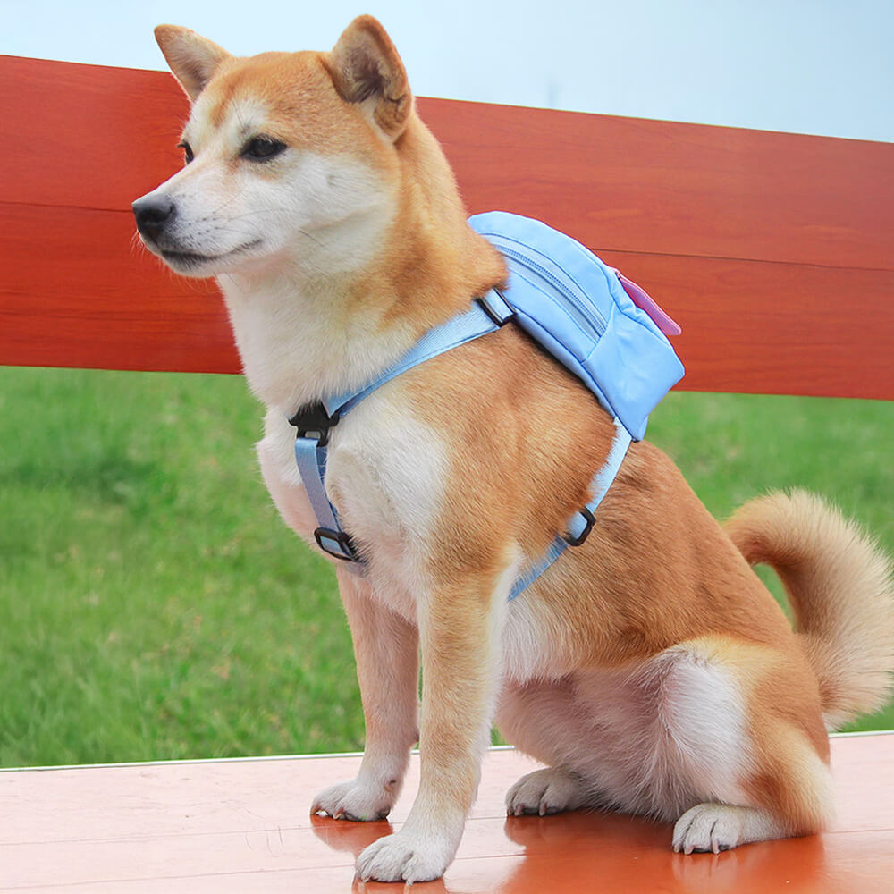 Fashionable Leash-Compatible Outdoor Adventure Pet Backpack