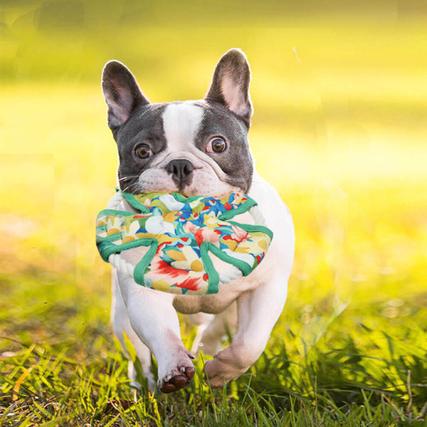 Cane da cognino con stampa floreale che mastica giocattolo cigolio