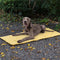 Faltbare, wasserdichte, tragbare Hunde-Autositzmatte, Hunde-Campingmatte