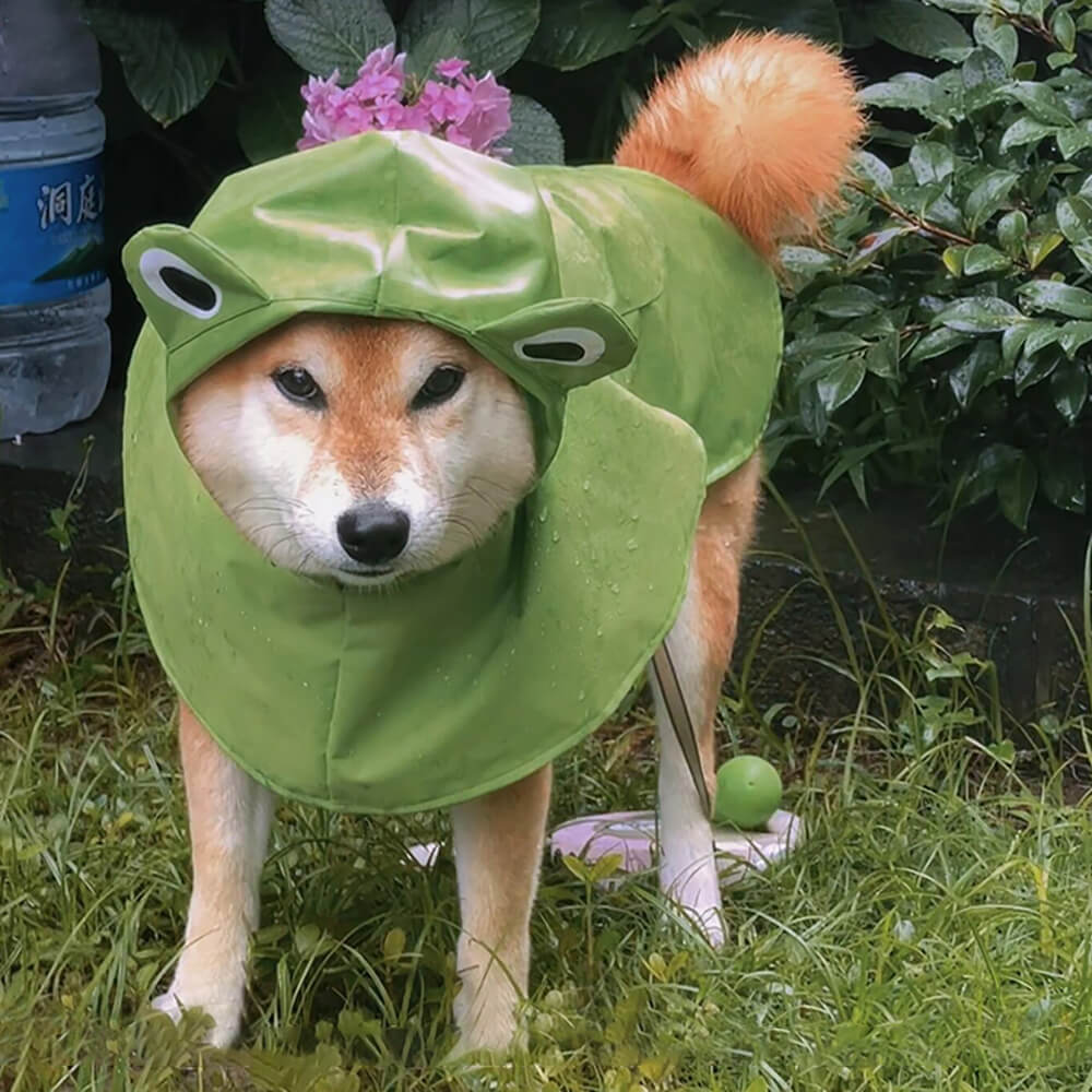 Poncho imperméable léger à capuche pour chien inspiré de la grenouille