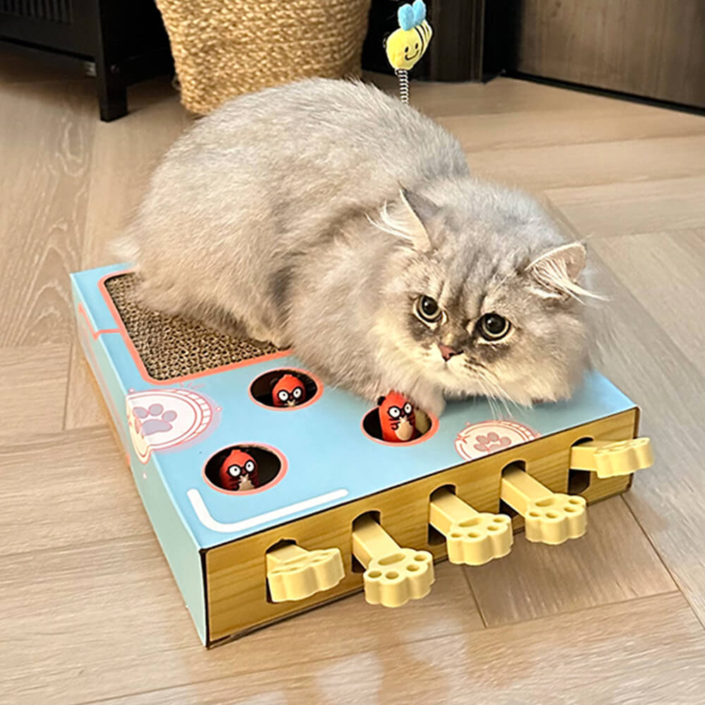 Fun Interactive Whack-a-Mole Cat Scratcher Cat Toy