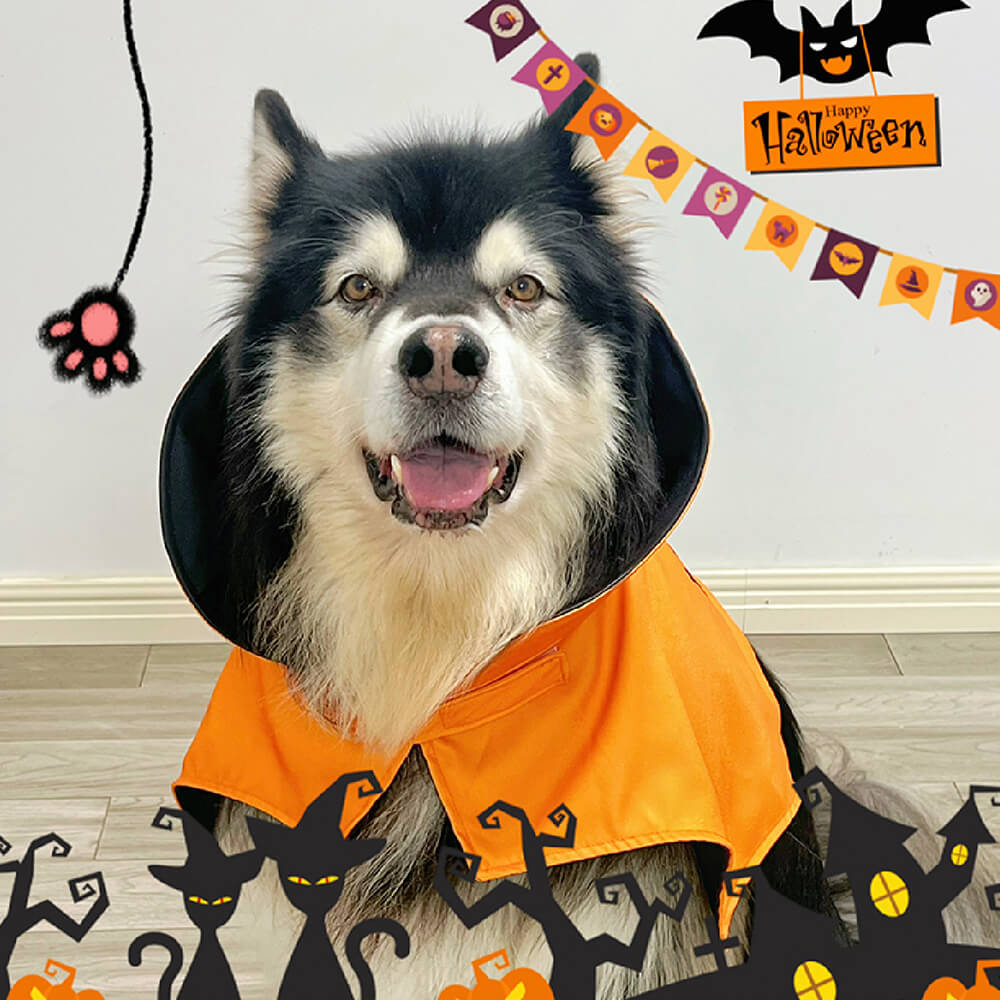 Halloween Bat Wing Costume Dog Bat Cloak