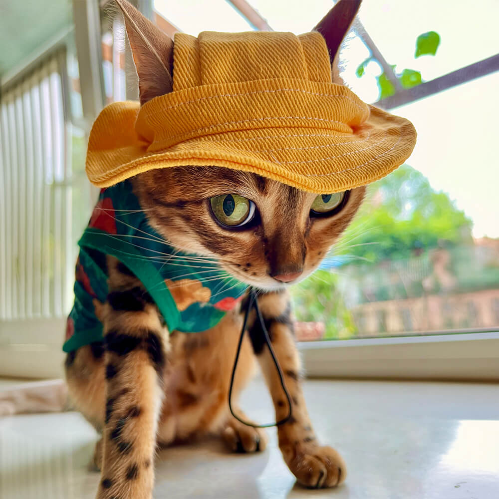Outdoor Sun Protection Cowboy Bucket Hat Pet Hat