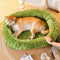 Soporte ortopédico ovalado acogedor cama desmontable y gato desmontable para dormir
