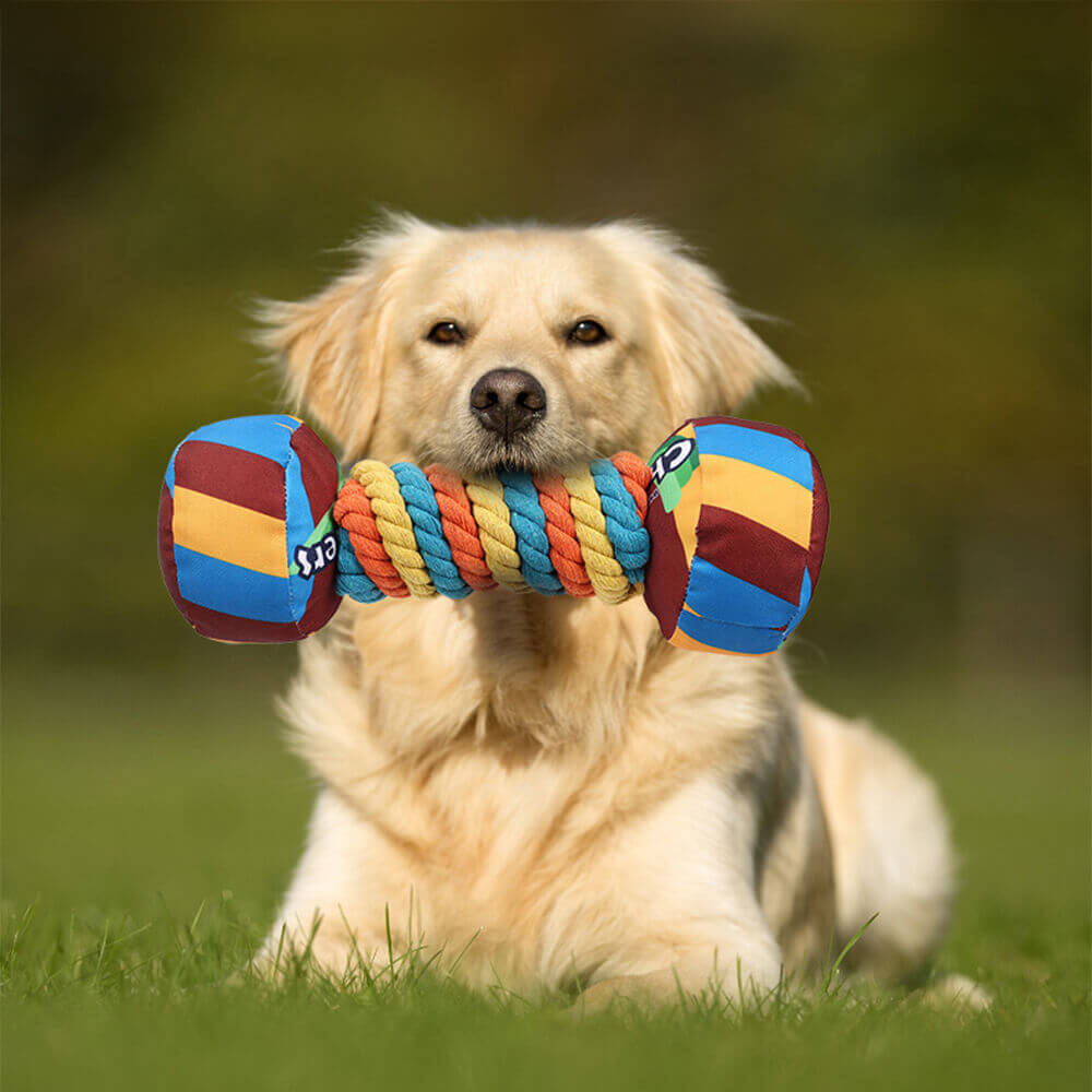 Regenbogen-Hantel, interaktives, quietschendes, langlebiges Seil-Hundespielzeug