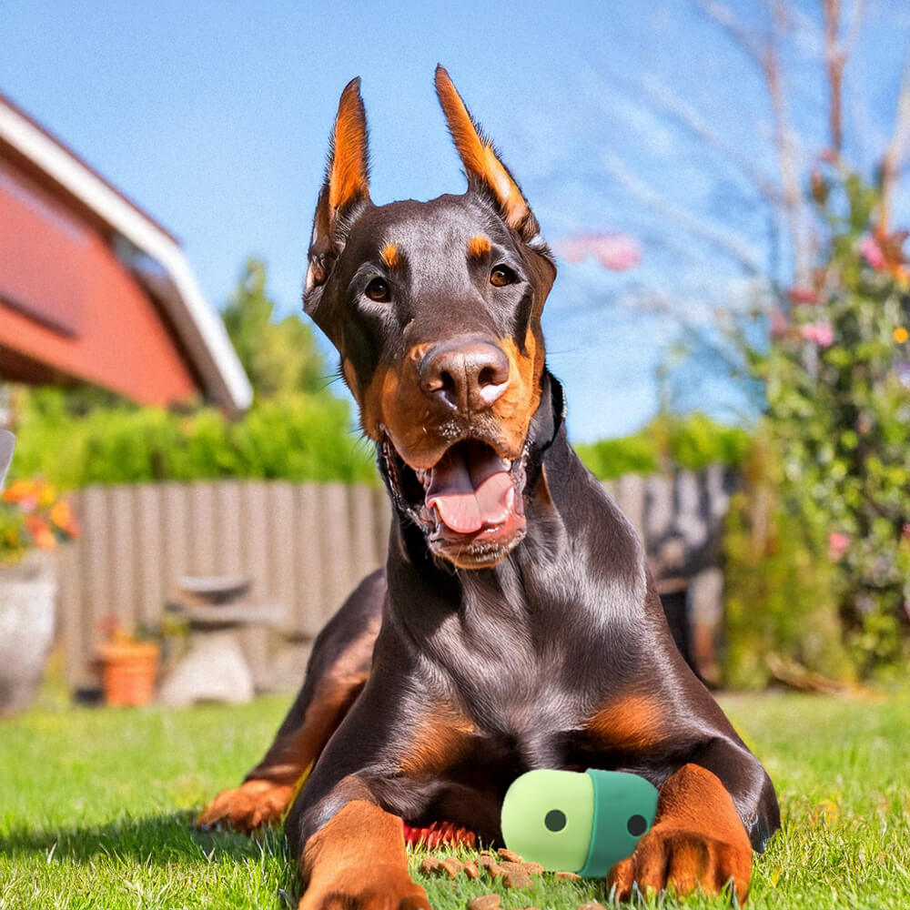 Rolling Treat Ball Interactive Silicone Dog Toy