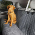 Soft Chenille Waterproof Dirt-Resistant Pet Backseat Protector Hammock Dog Car Seat Cover