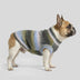 Soft Warm Thick-Knitted Dog Sweater – Designed For Dachshunds, French Bulldogs & Pugs