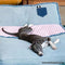 Geräumiges, faltbares, multifunktionales Denim-Schlafsofa für Hunde und Katzen