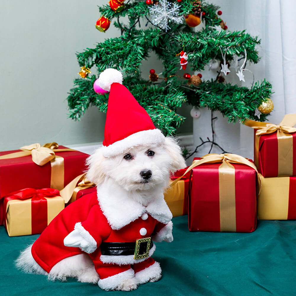 Stereoskopisches Weihnachts-Weihnachtsmann-Outfit, Hut, Cosplay, Hundekostüm