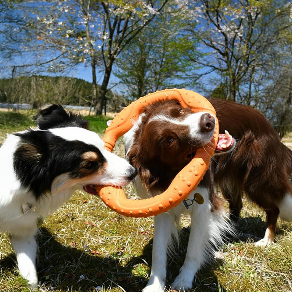 War Ring Durable Waterproof Lightweight Flexible Interactive Dog Toy