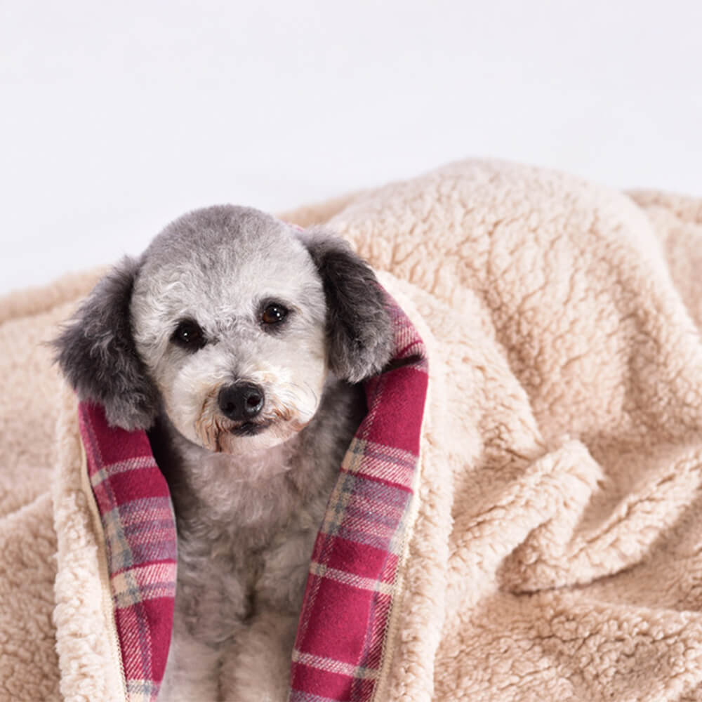 Couverture épaisse en polaire Sherpa chaude et confortable pour chiens et chats