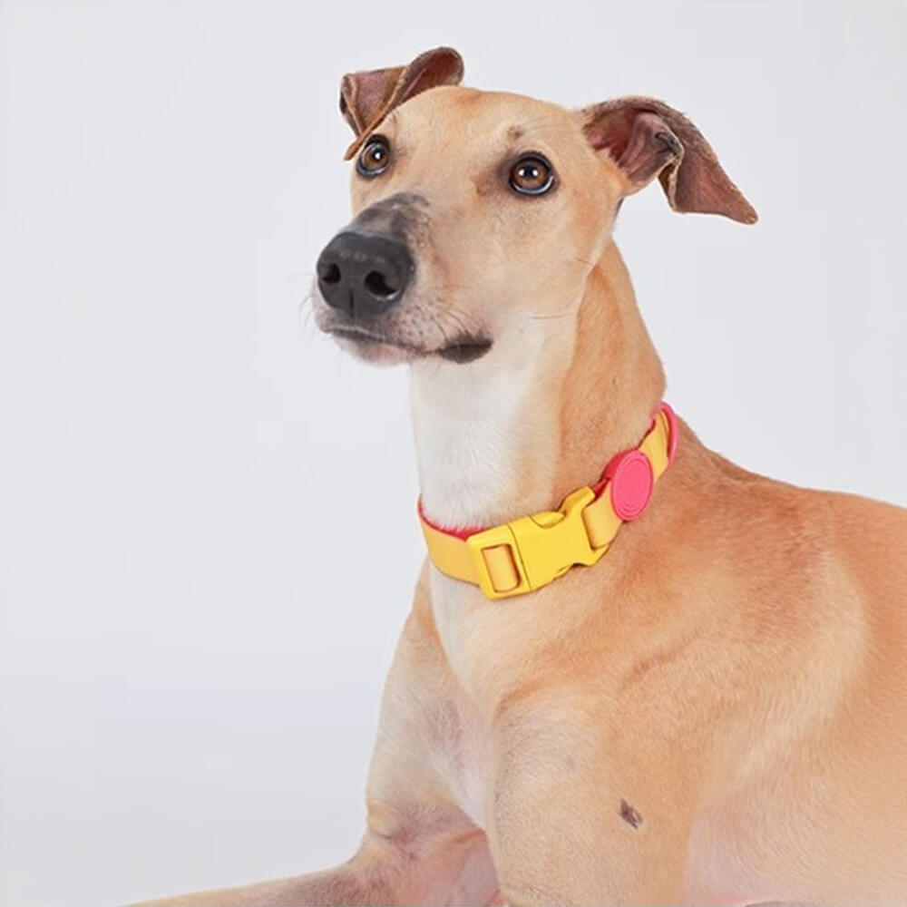 Waterproof Adjustable Nylon Dog Collar and Leash