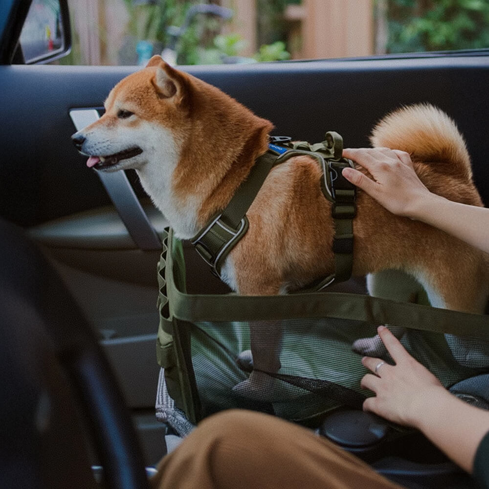 Waterproof Scratch-Resistant Foldable Portable Front Seat Dog Travel Mat