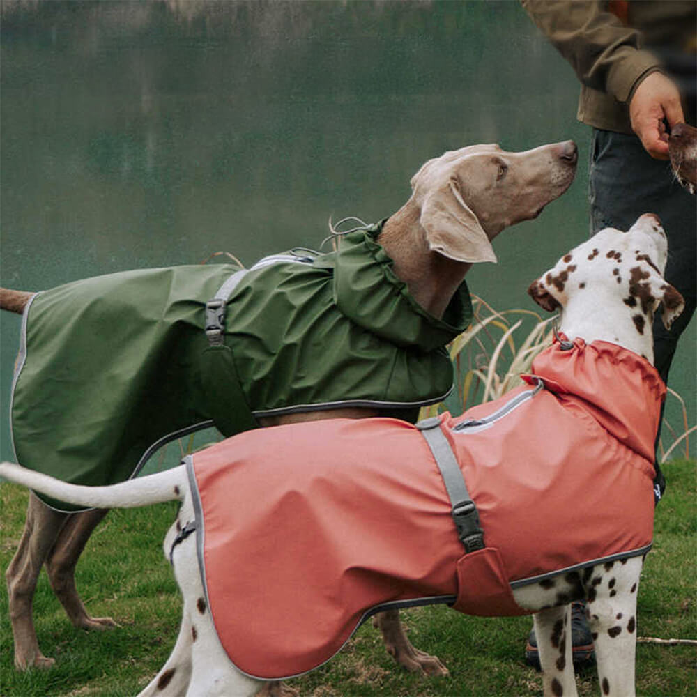 Waterproof Turtleneck Adjustable Reflective Jacket Outdoor Raincoat For Dog And Owner