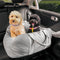 Cama de asiento para el asiento del automóvil para perros de seguridad para perros - Primera clase