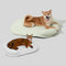Ice Dot Cooling Breathable Pet Mat with Pillow for Cats and Dogs