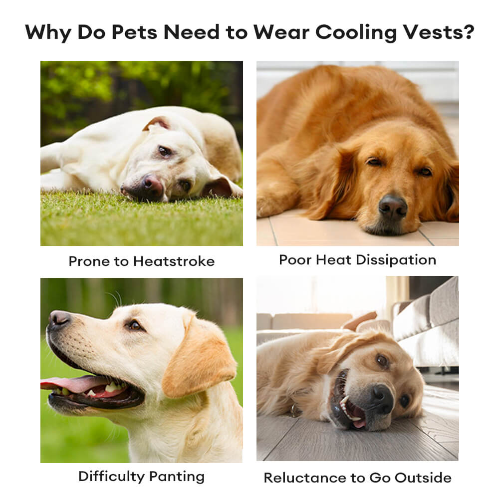 Lightweight Evaporative Dog Breathable Cooling Vest