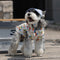Stylish Printed Cotton Button-Up Dog Shirts