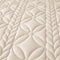 Woven Quilted Waterproof Antibacterial Quilted Sheet Mattress Cover