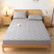 Woven Quilted Waterproof Antibacterial Quilted Sheet Mattress Cover