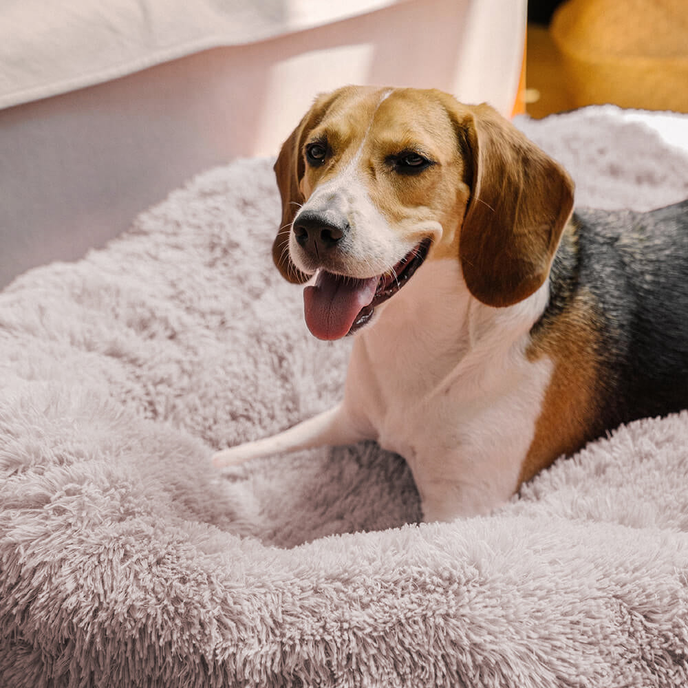 Cama redonda y esponjosa para perros