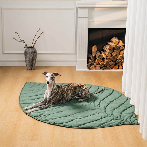 Coperta per cane umano a forma di foglia super grande