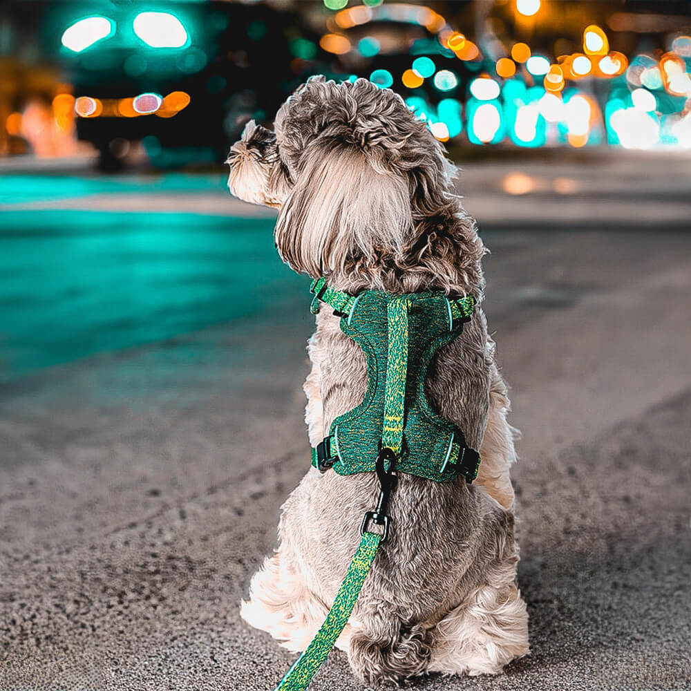 Eco-friendly Recycled Fabric No-Pull Dog Harness and Leash