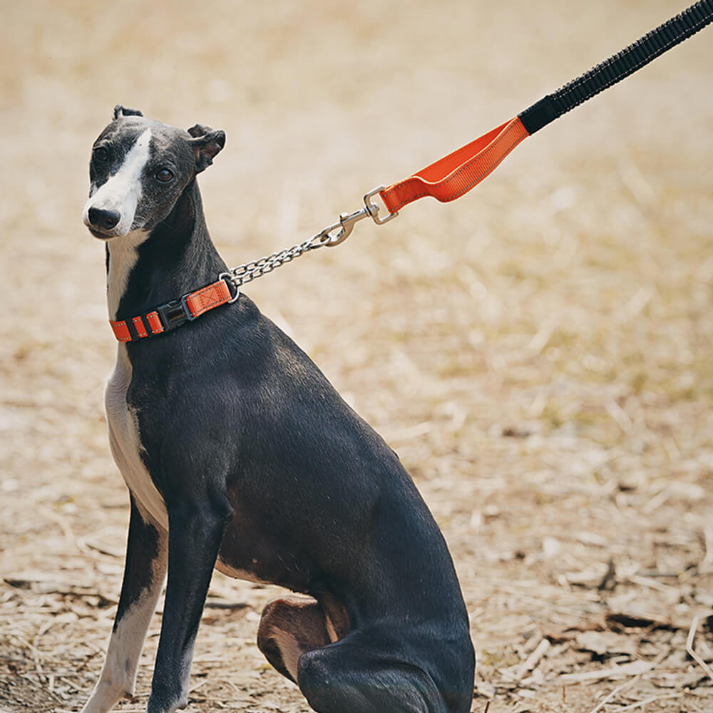 Multifunctional Reflective Anti-Pull Dog Collar and Leash