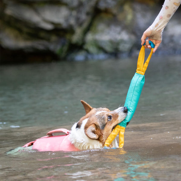 Juguetes interactivos al aire libre resistentes a tirar juguetes flotantes de perro