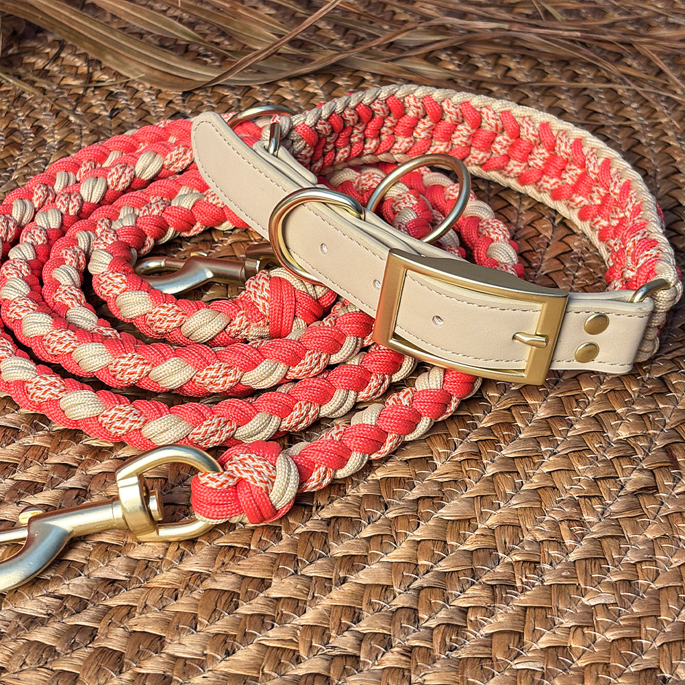 Hand-Woven Leather Multifunctional Anti-Pull Dog Collar and Leash Set