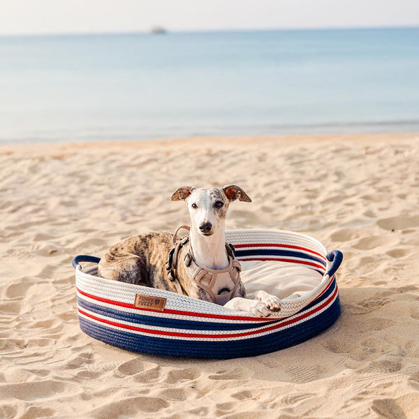 Stripe a mano Calmante PET COMMERCIALE - NESTRE Senza tempori