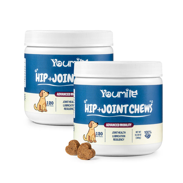 Hip & Joint Dog Supplement Chews for Pain Relief and Inflammation Support - 120 Count